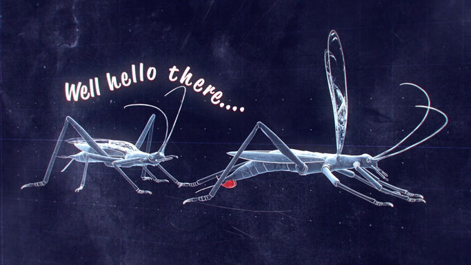 Male Spermataphor used during sex